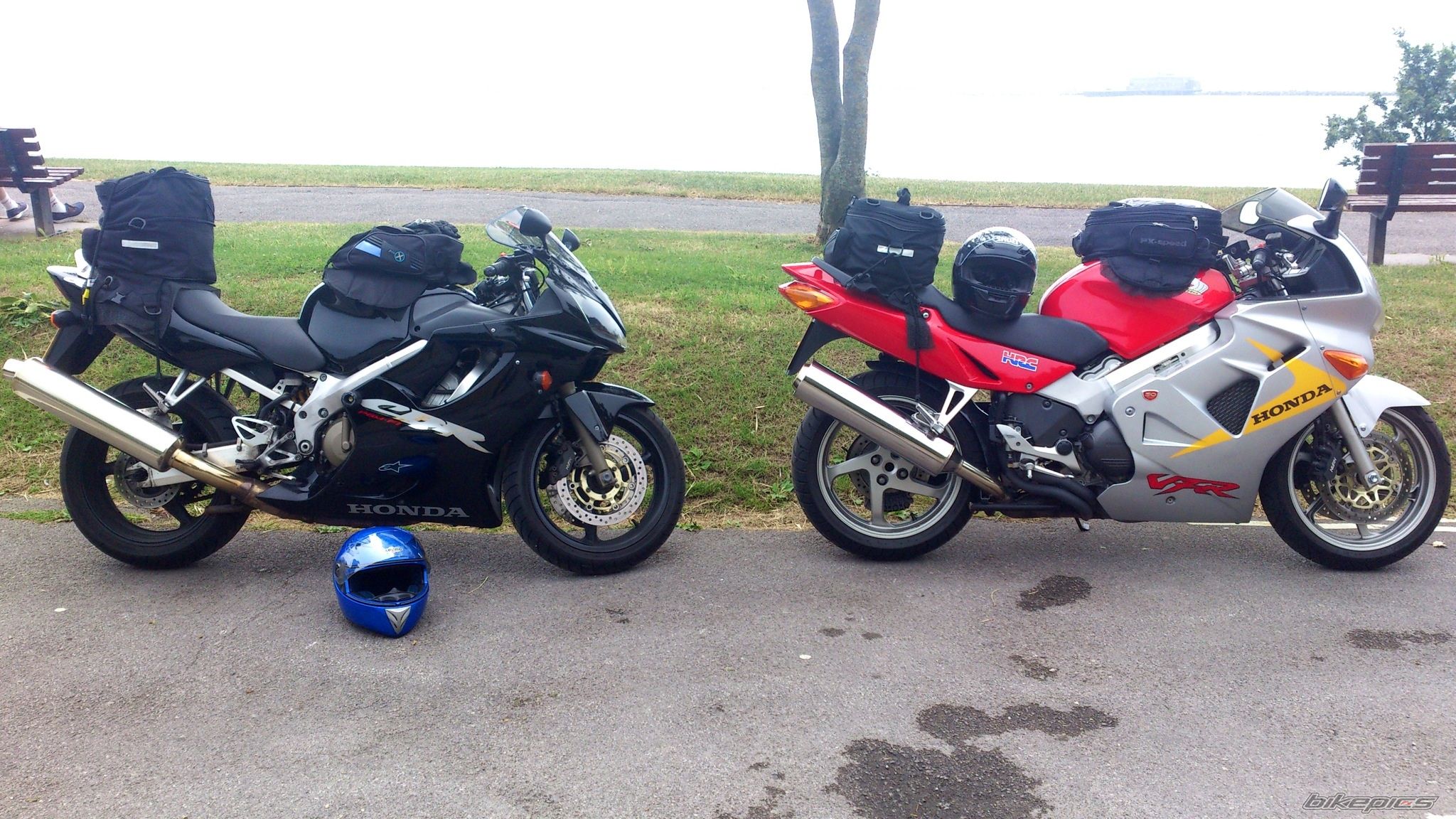 Photo 2581149