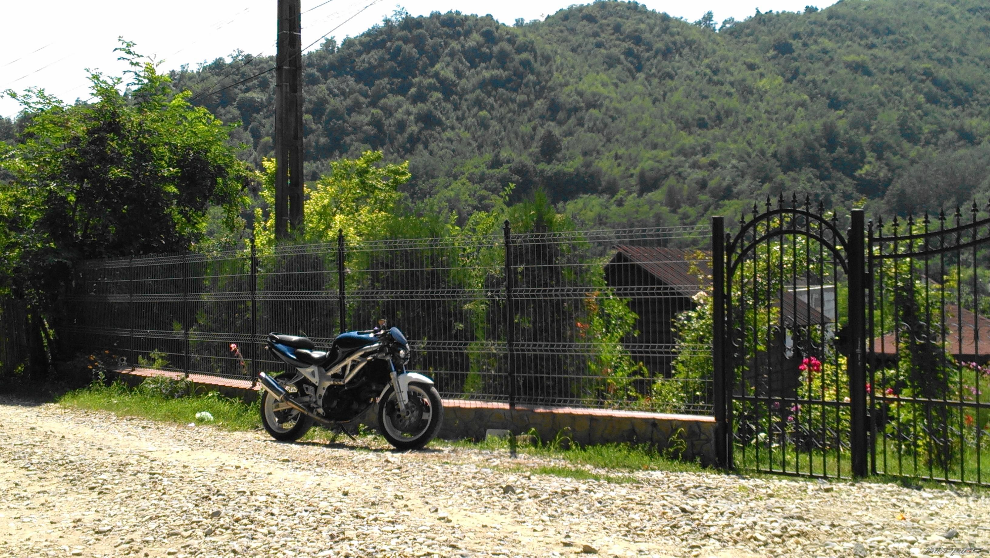 Photo 2581271