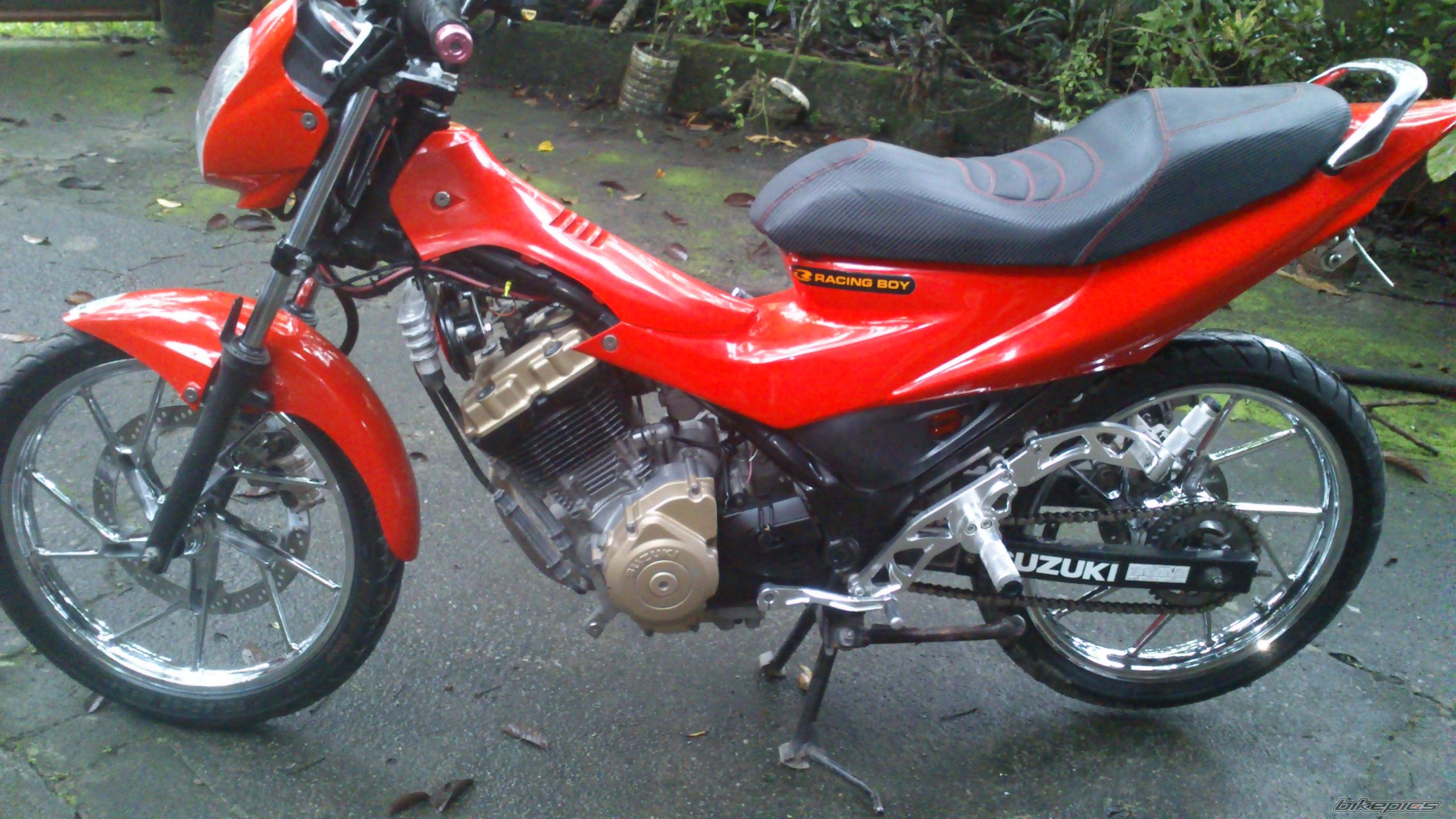 Photo 2581279