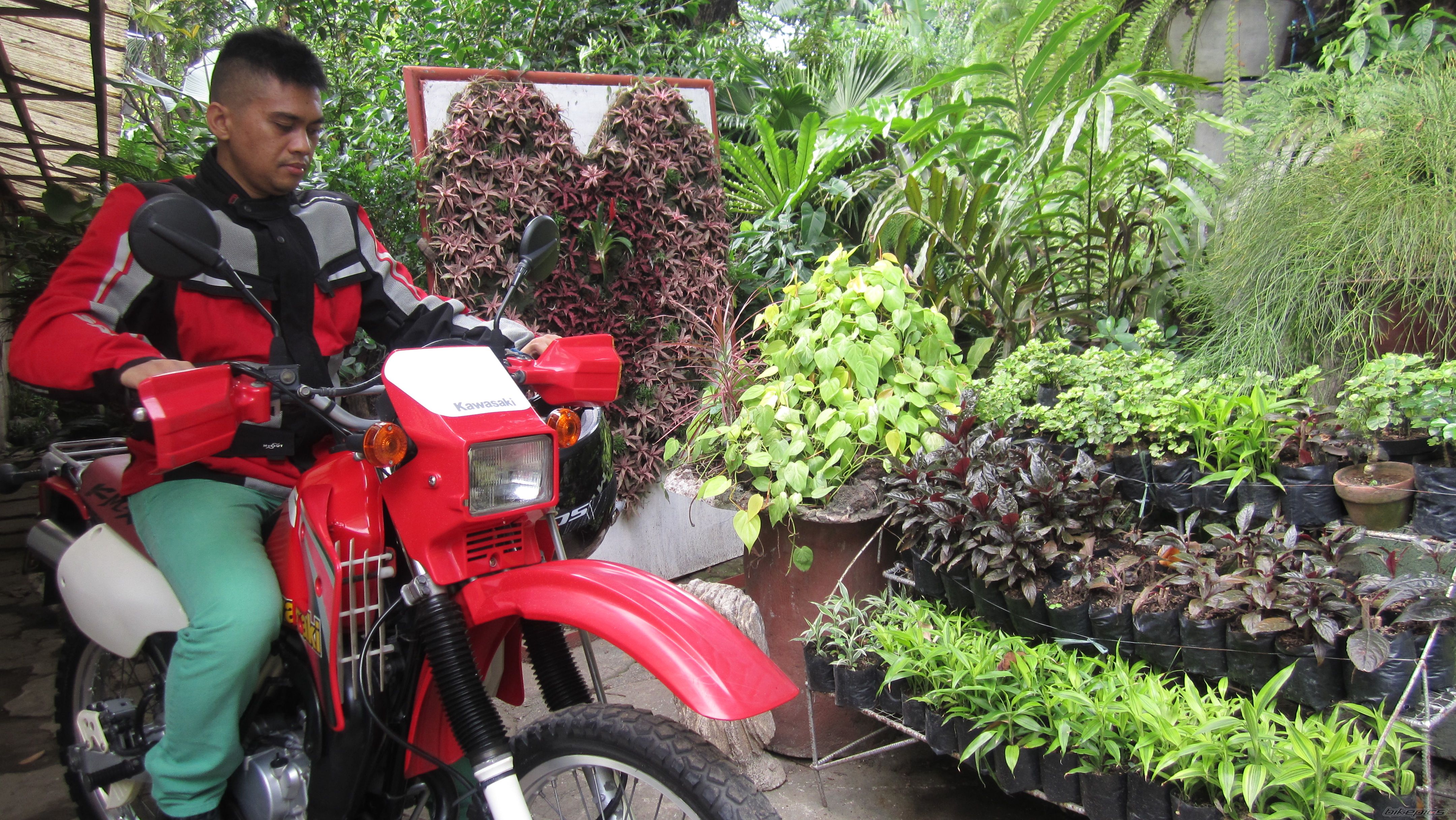Photo 2581293