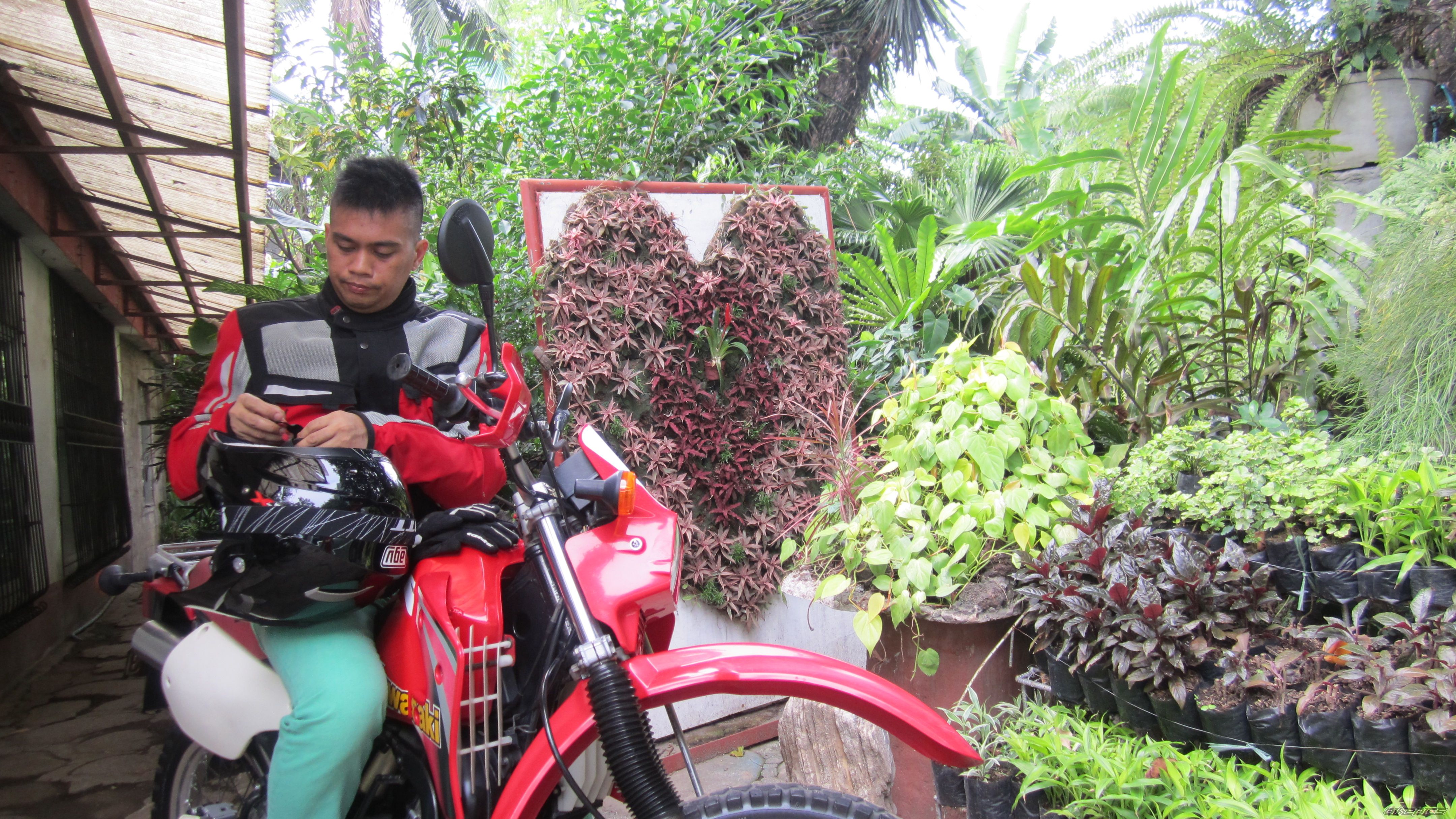 Photo 2581294