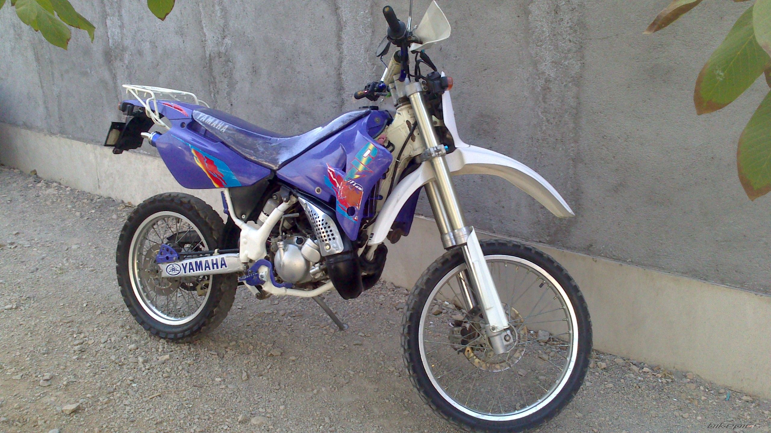 Photo 2581413