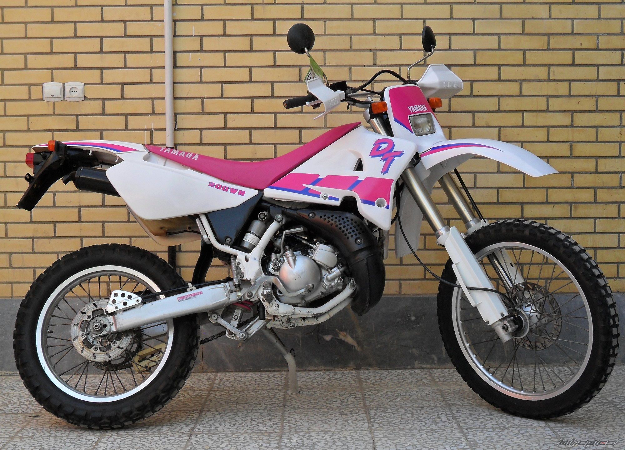 Photo 2581489