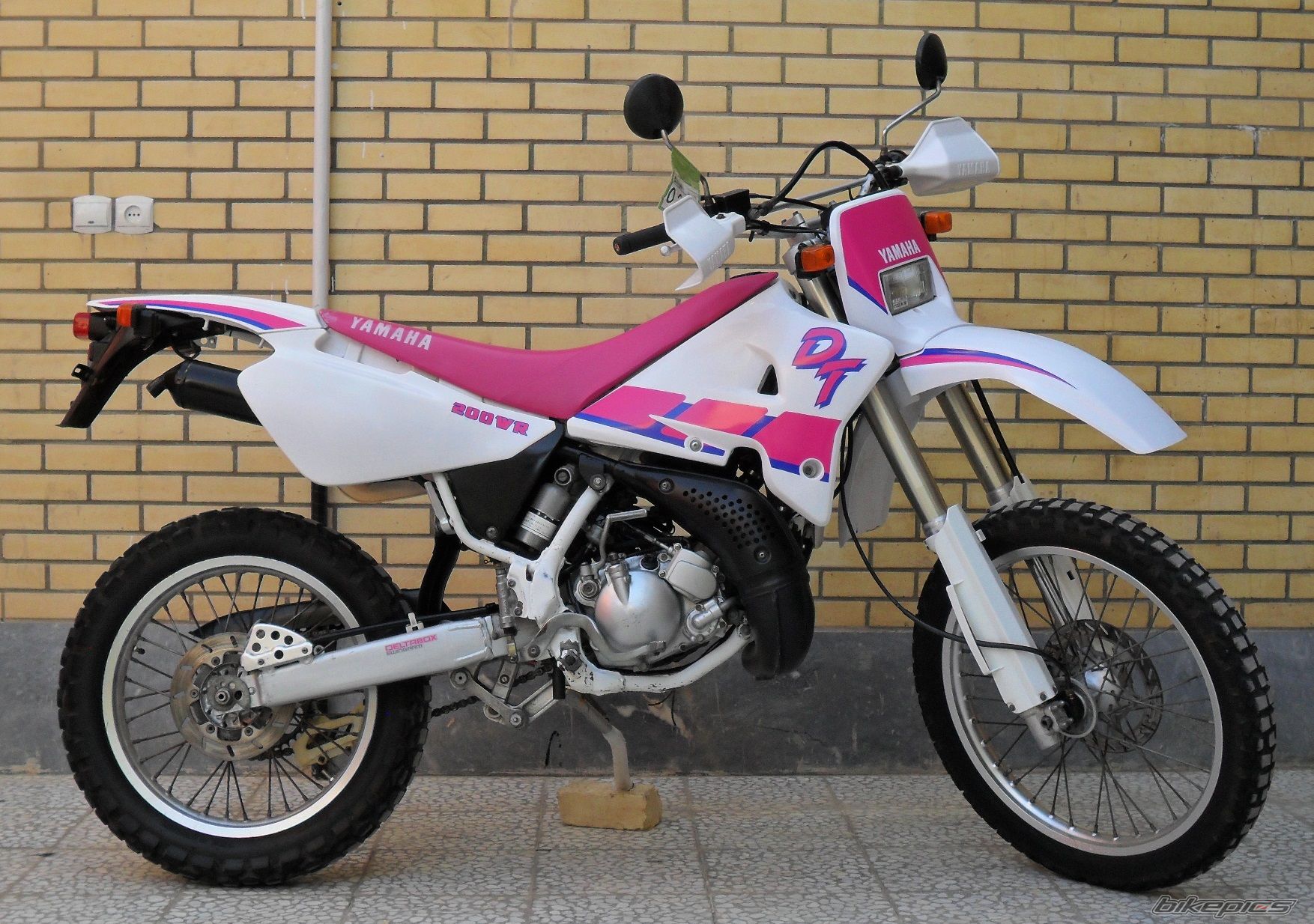 Photo 2581495