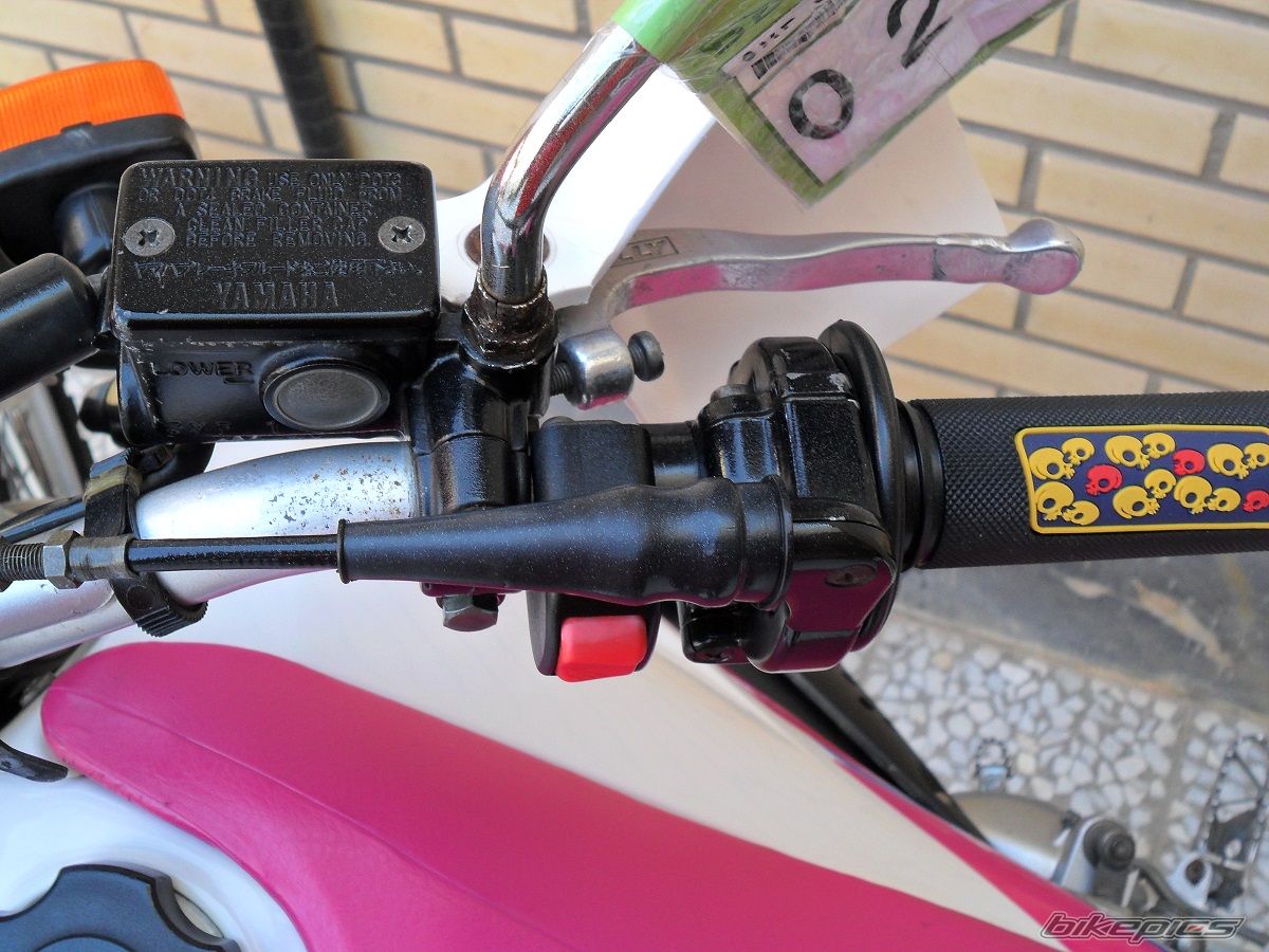 Photo 2581512
