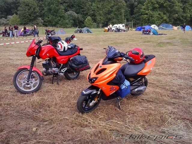 Photo 2581702