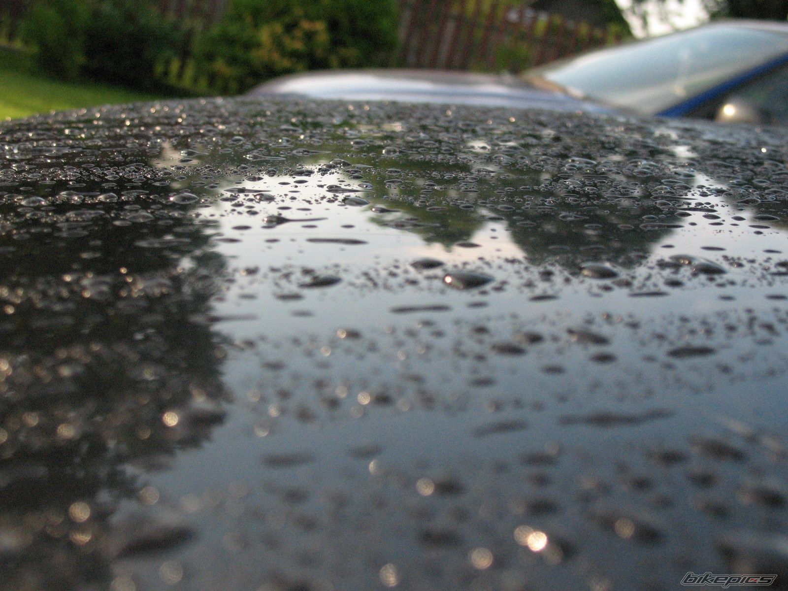 Photo 2581769
