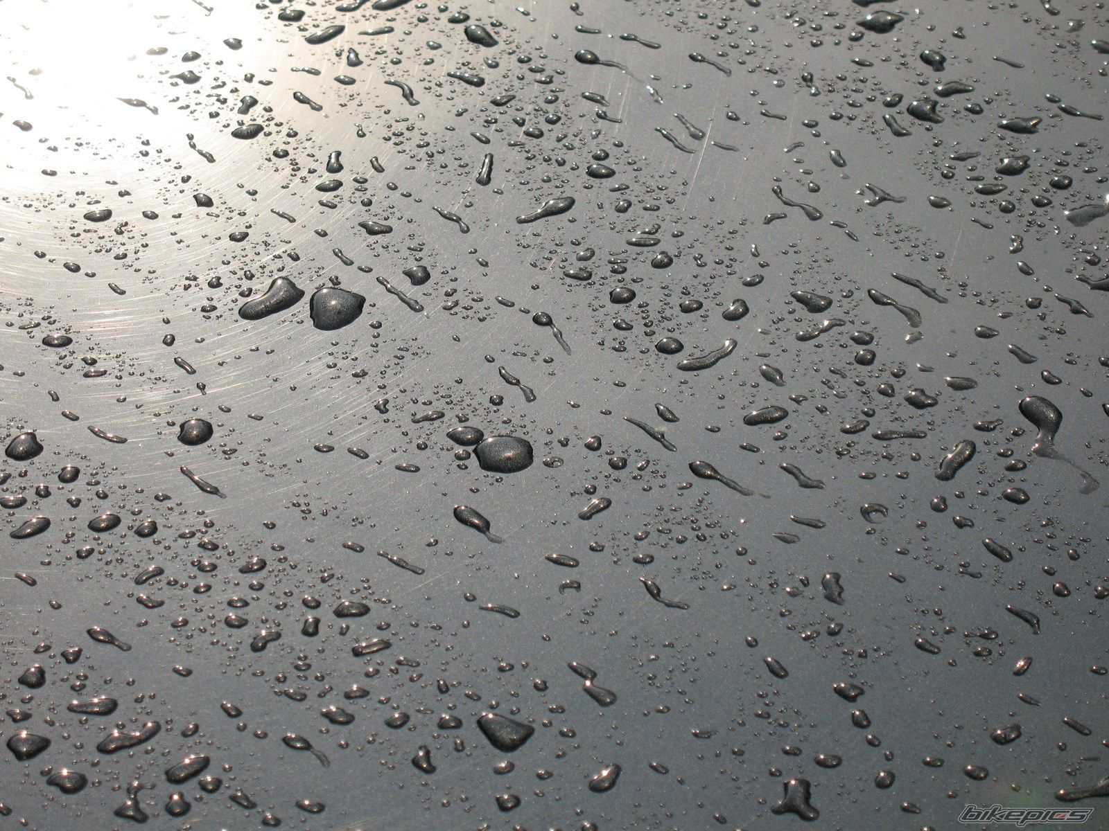 Photo 2581770