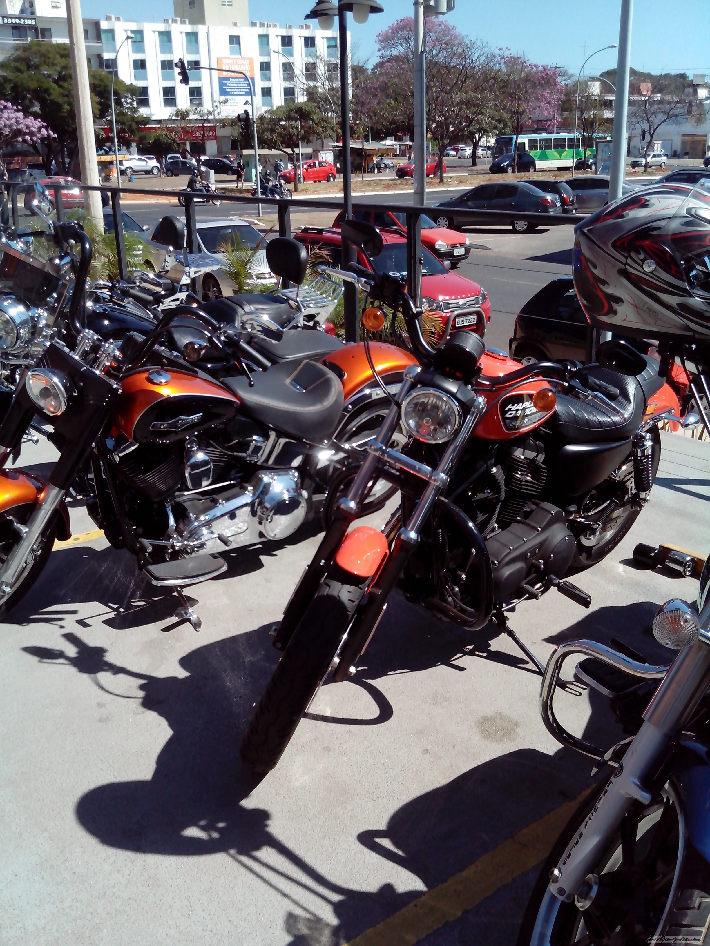 Photo 2581782