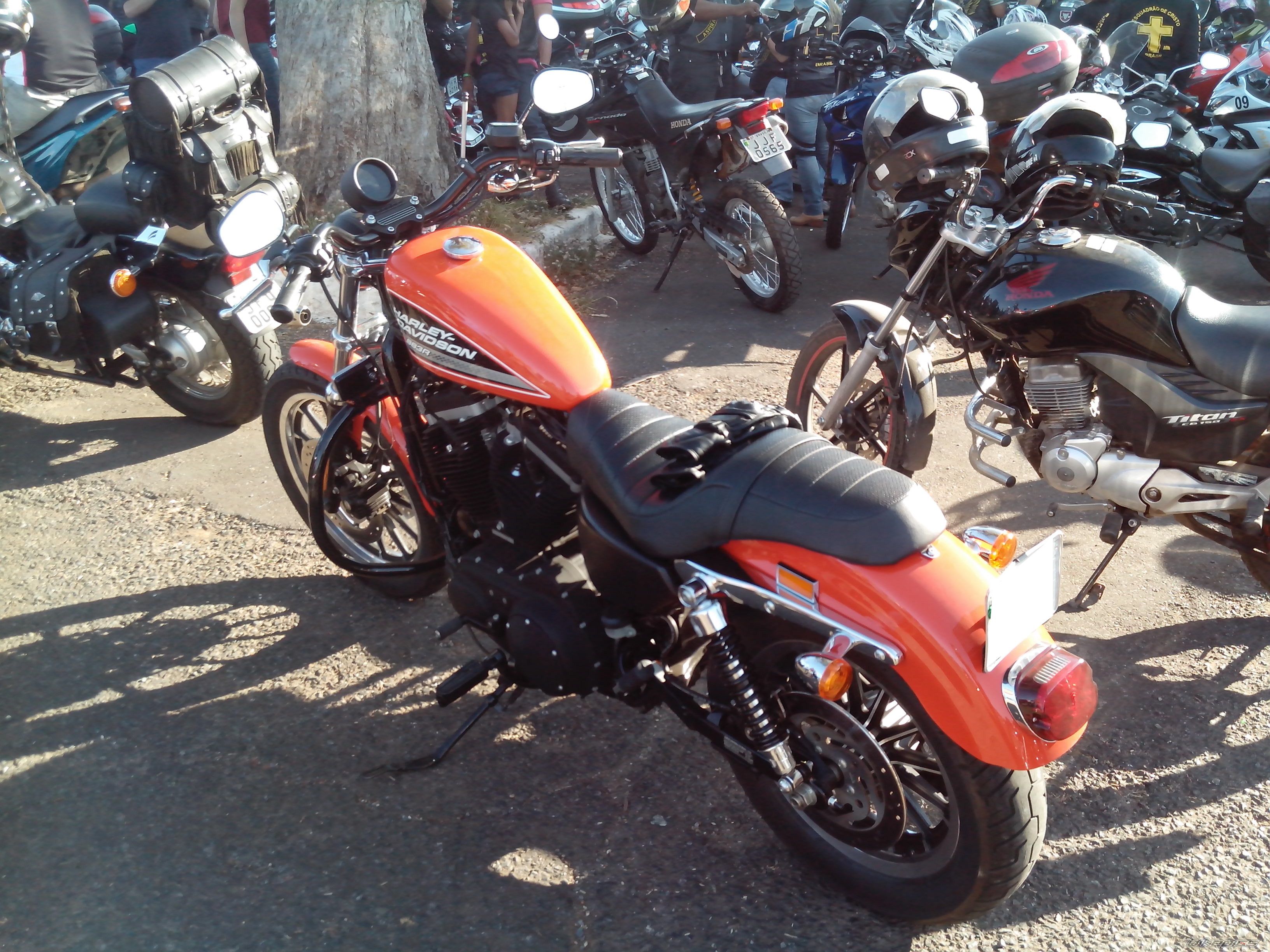 Photo 2581783