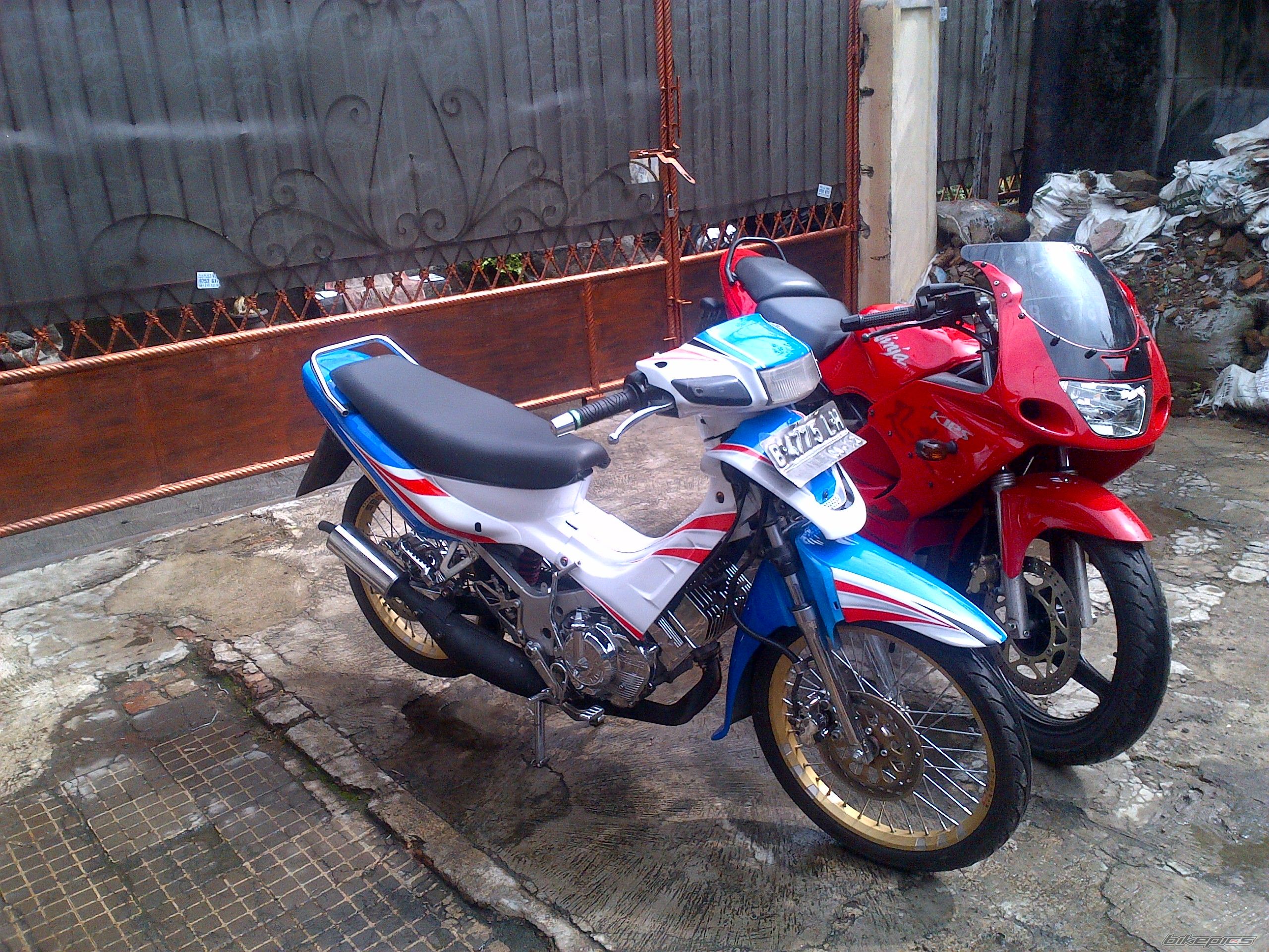 Photo 2581874