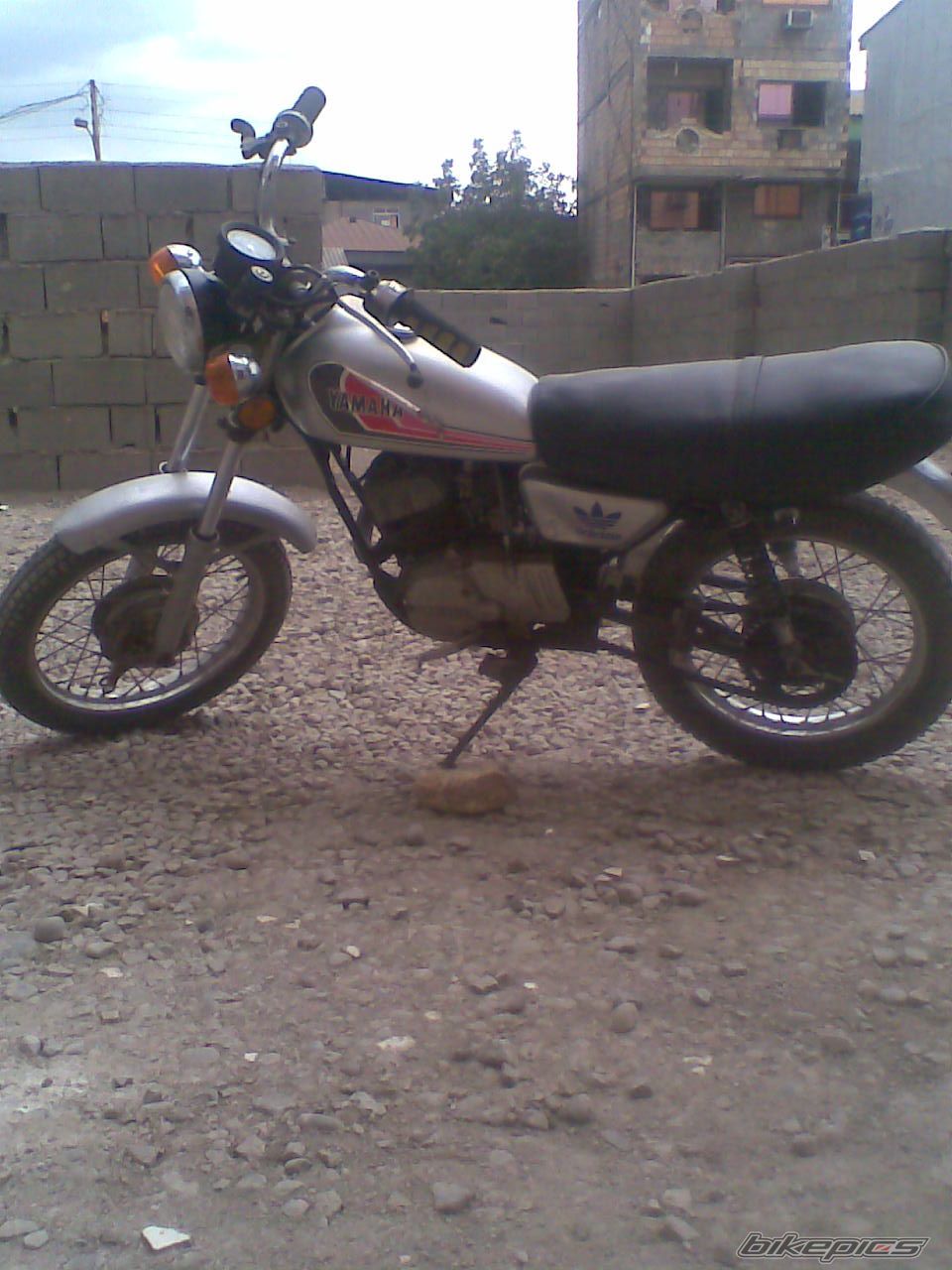 Photo 2582137