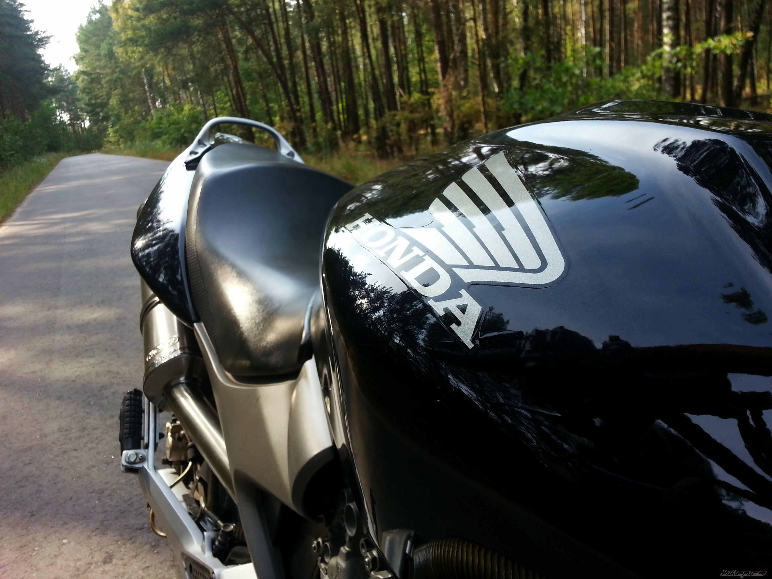 Photo 2582159