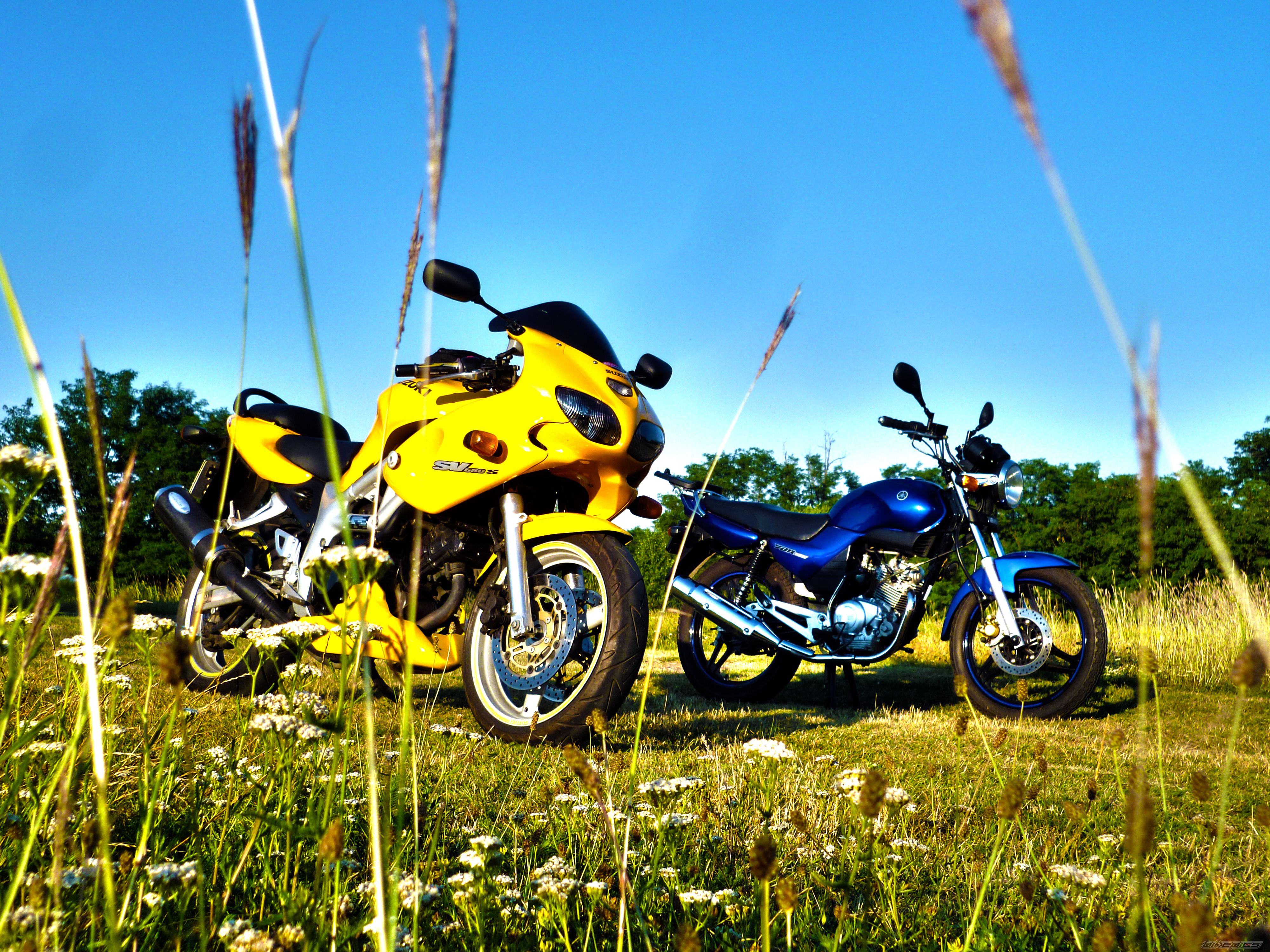 Photo 2582168