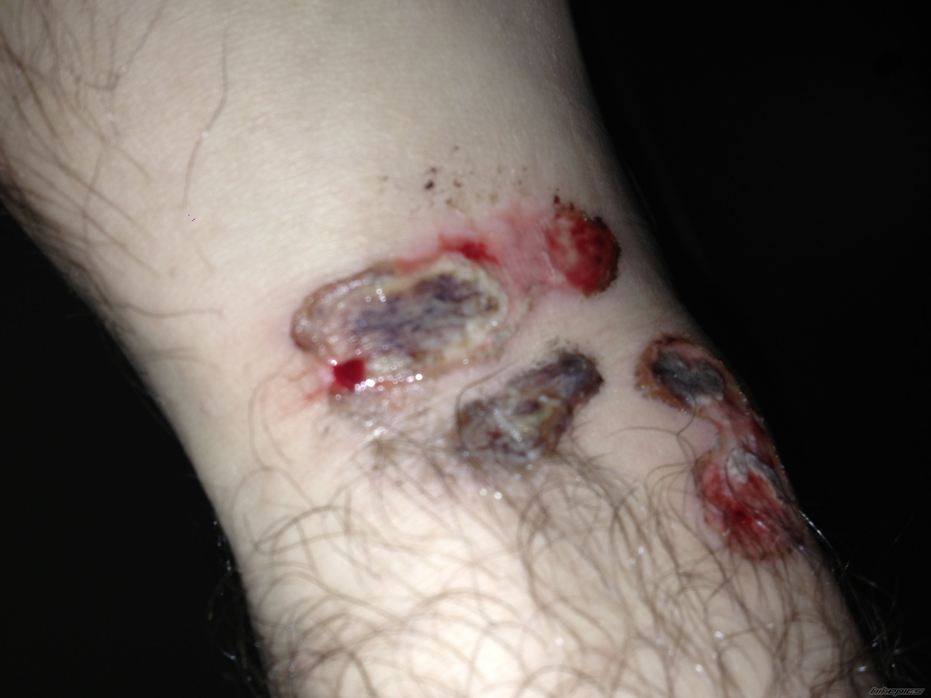 Photo 2582232