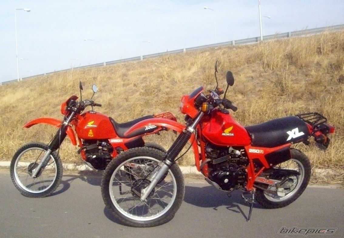 Photo 2582246