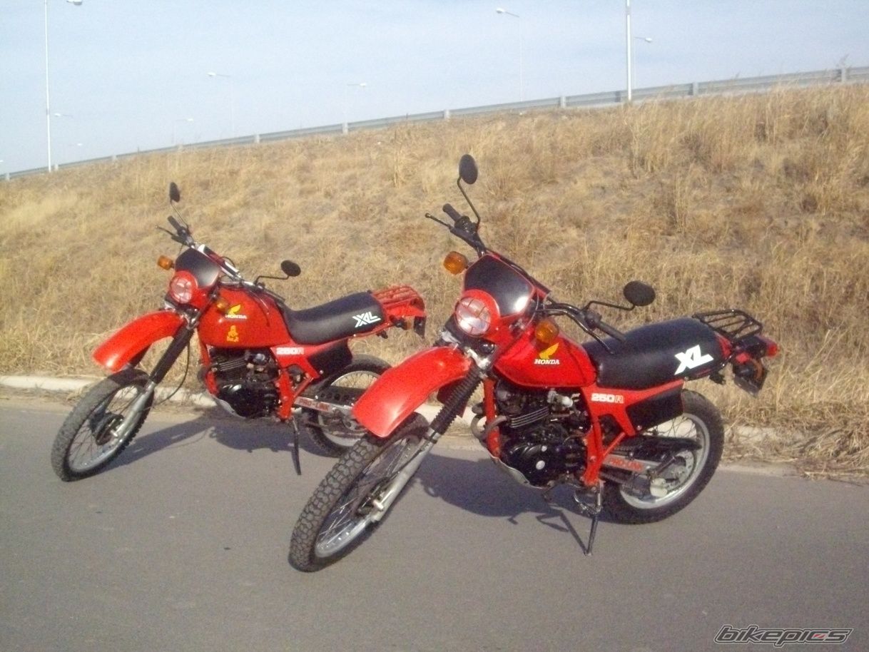 Photo 2582247