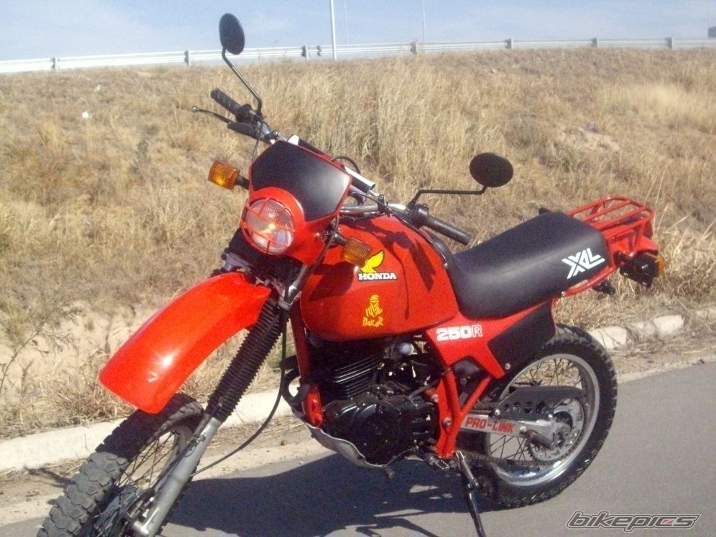 Photo 2582249