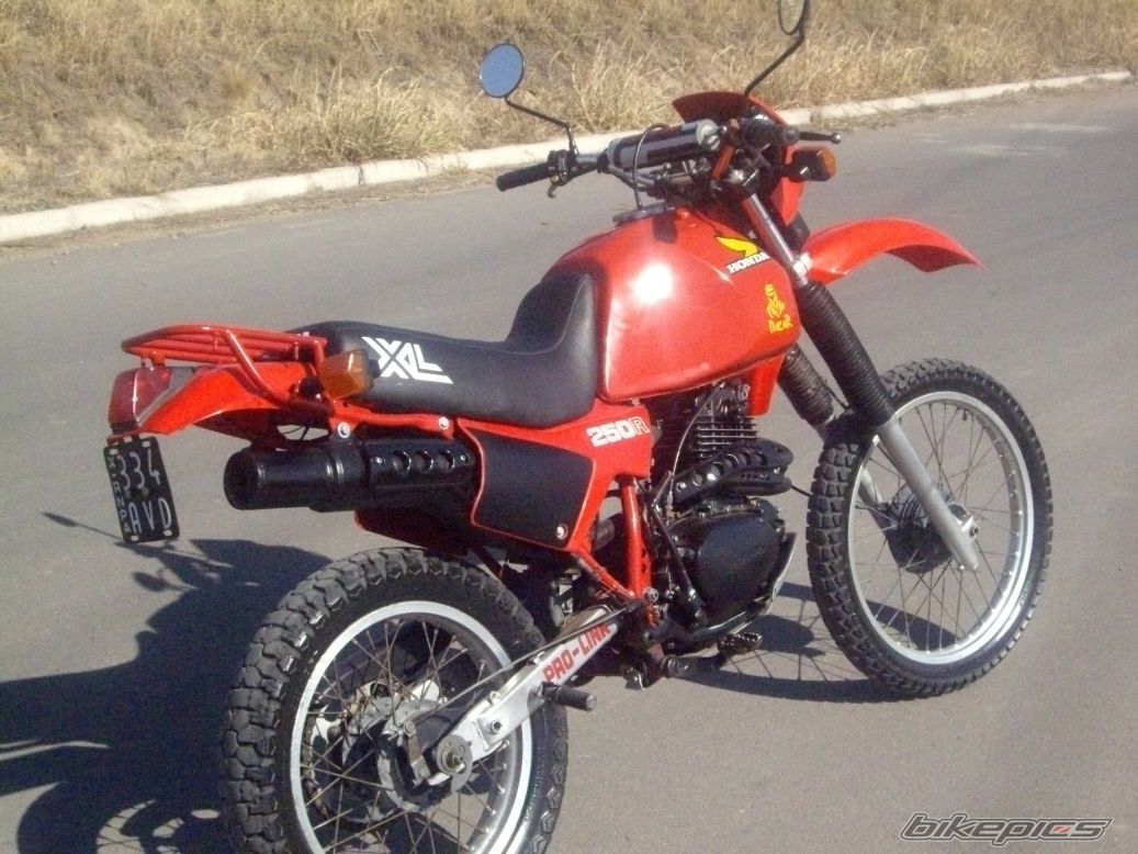 Photo 2582251
