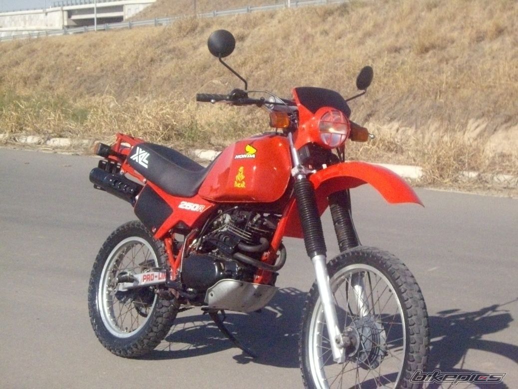 Photo 2582252