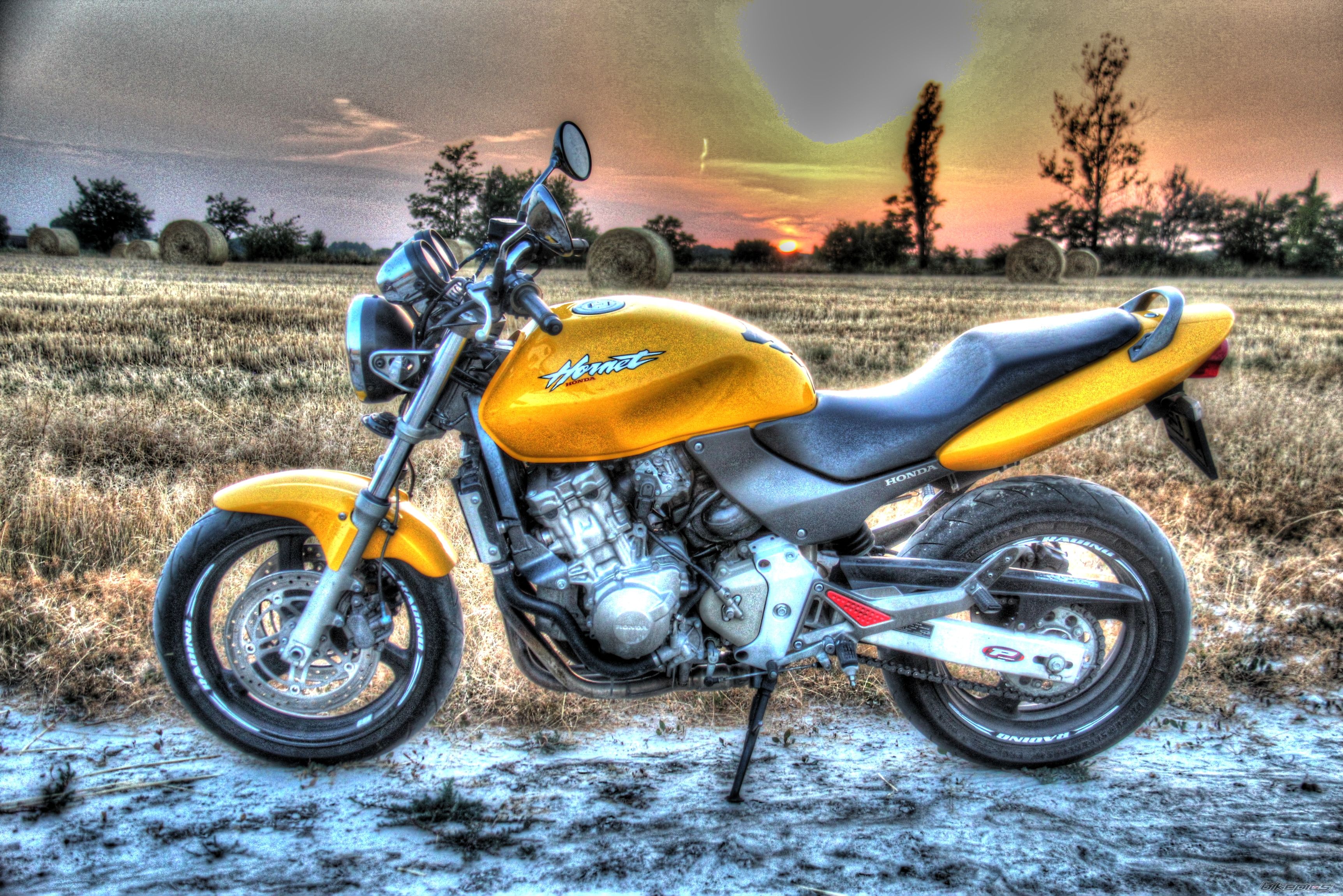 Photo 2582275