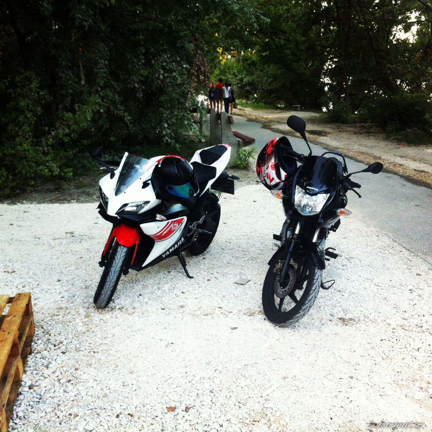 Photo 2582348