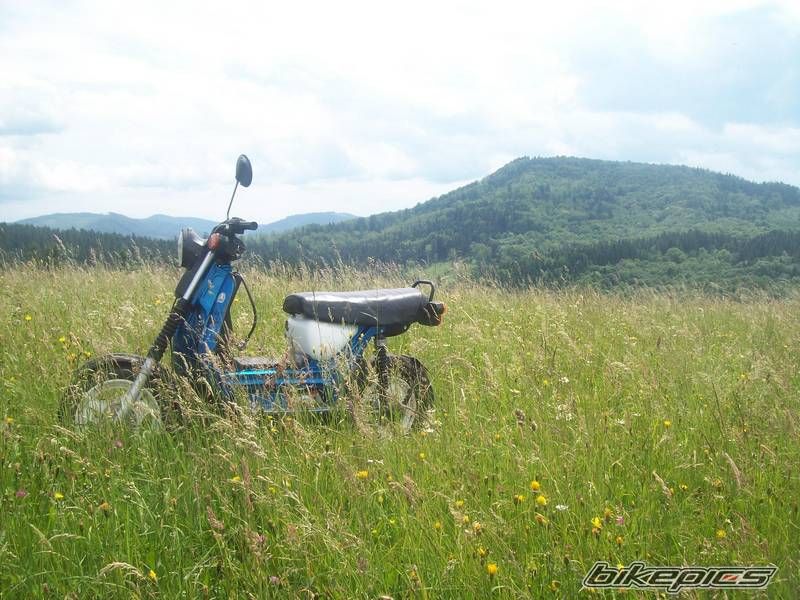 Photo 2582456