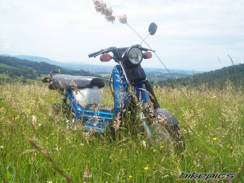 Photo 2582457