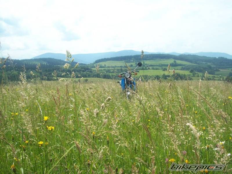 Photo 2582459