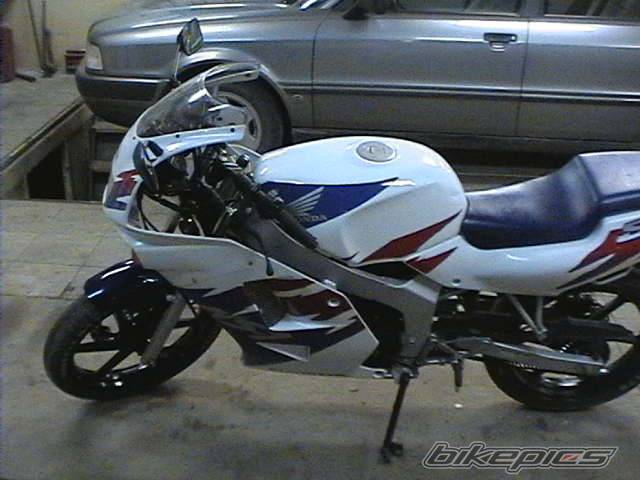 Photo 258251