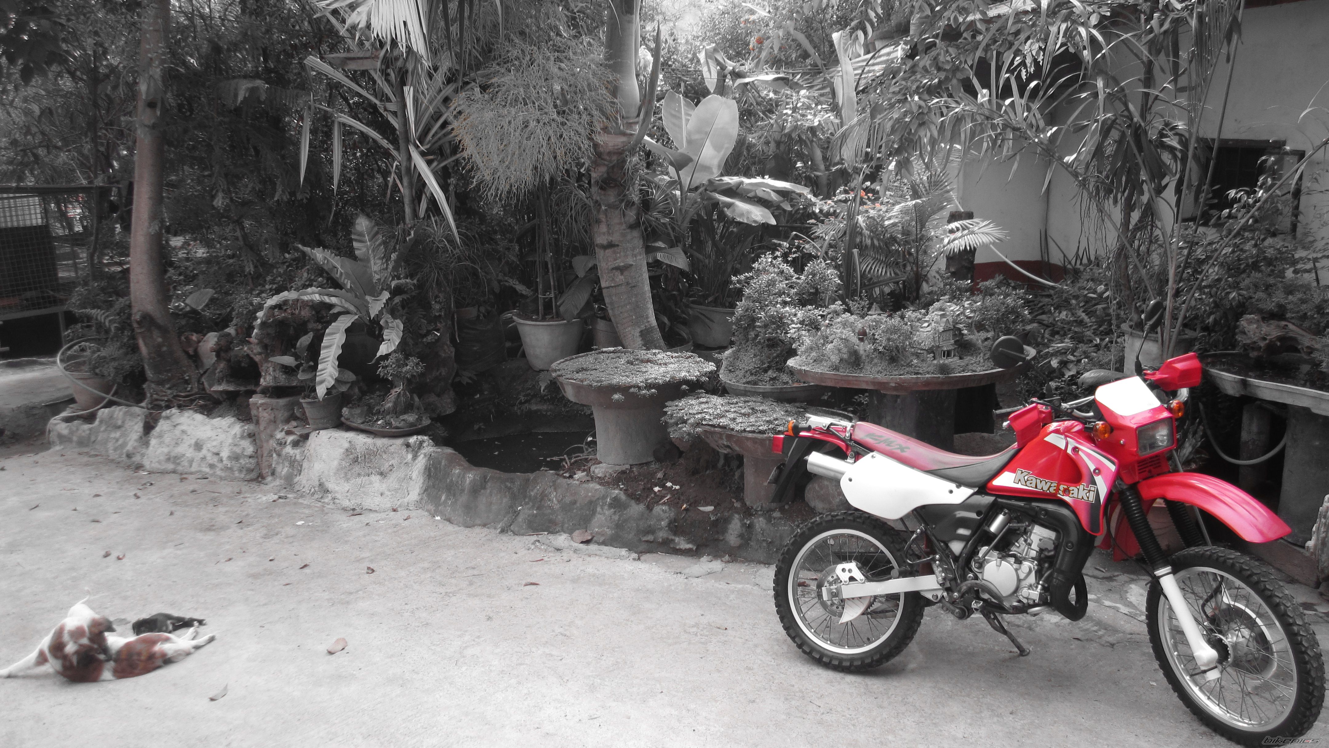 Bike Photo 2582536