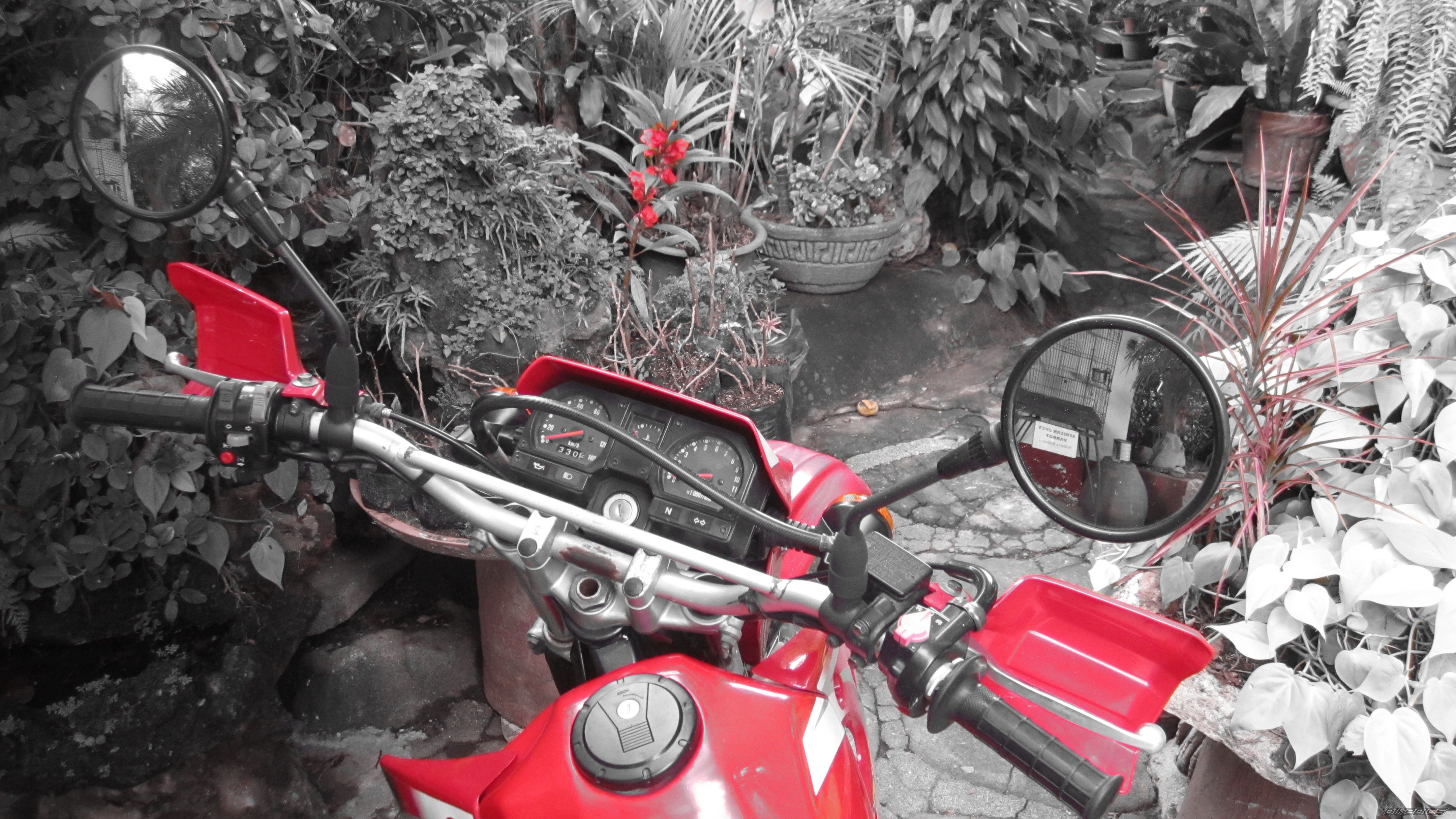 Photo 2582538