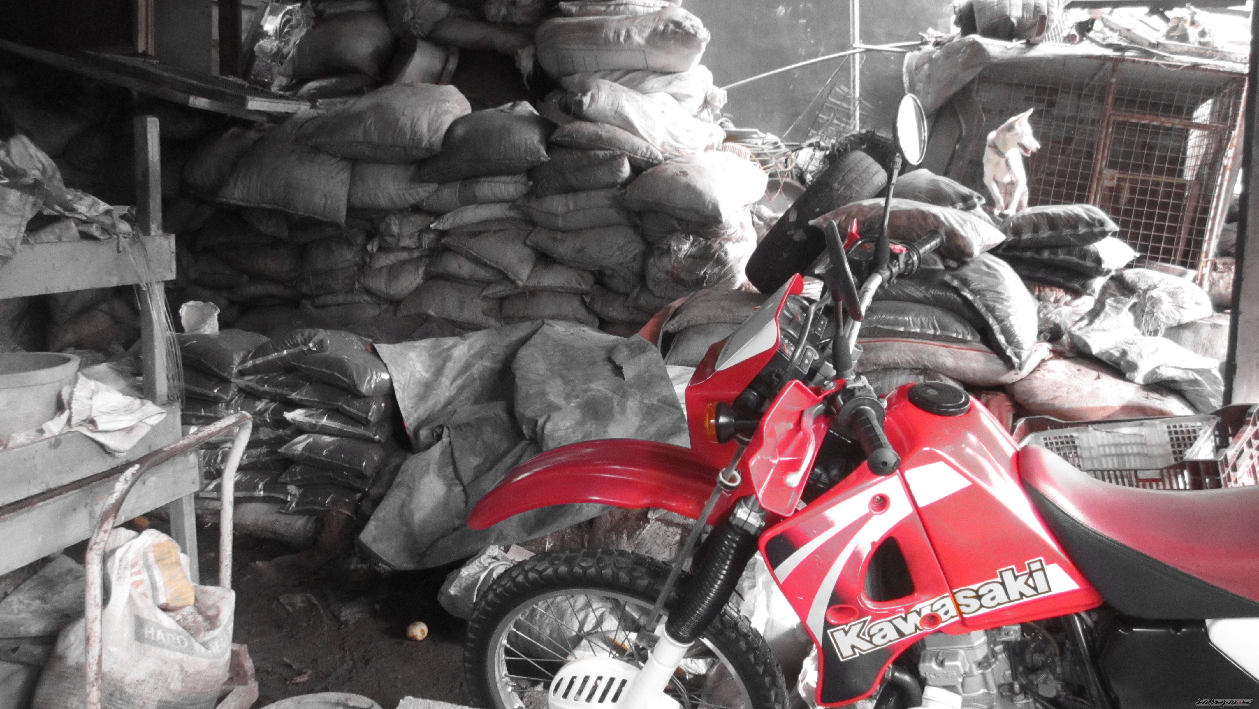 Bike Photo 2582539