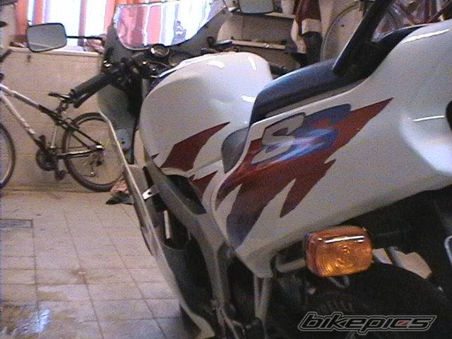 Photo 258254