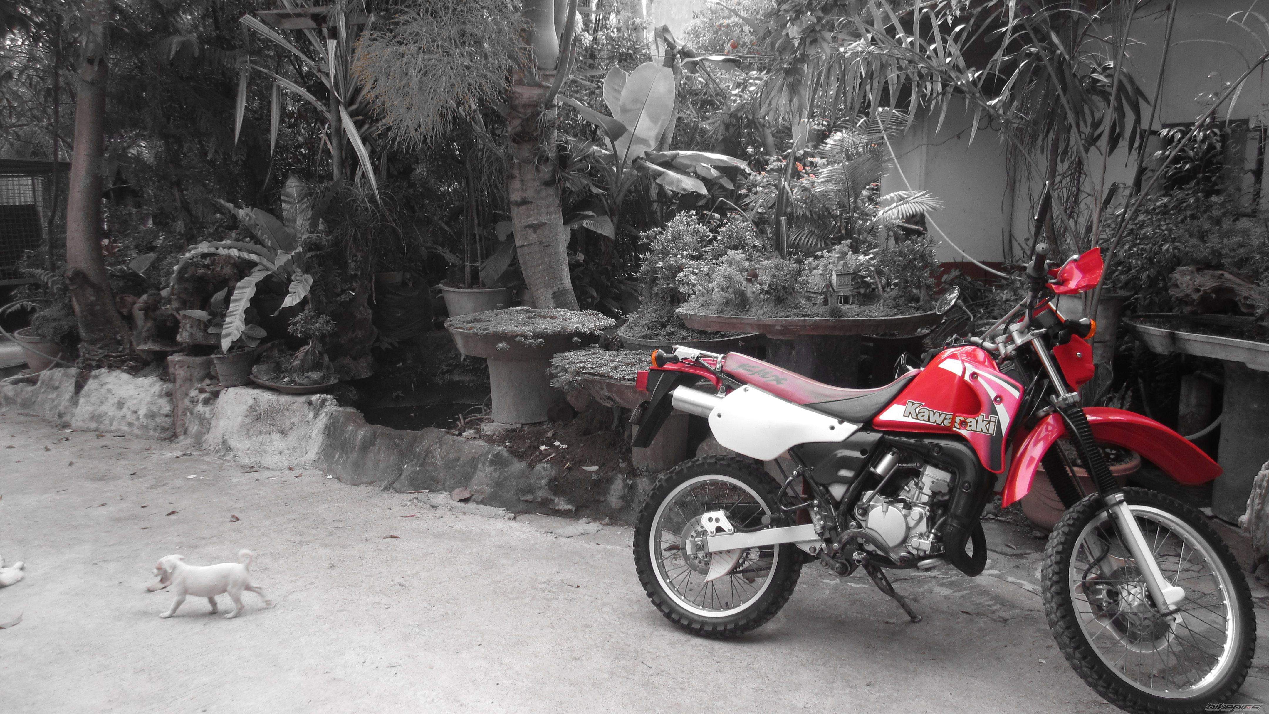 Photo 2582547