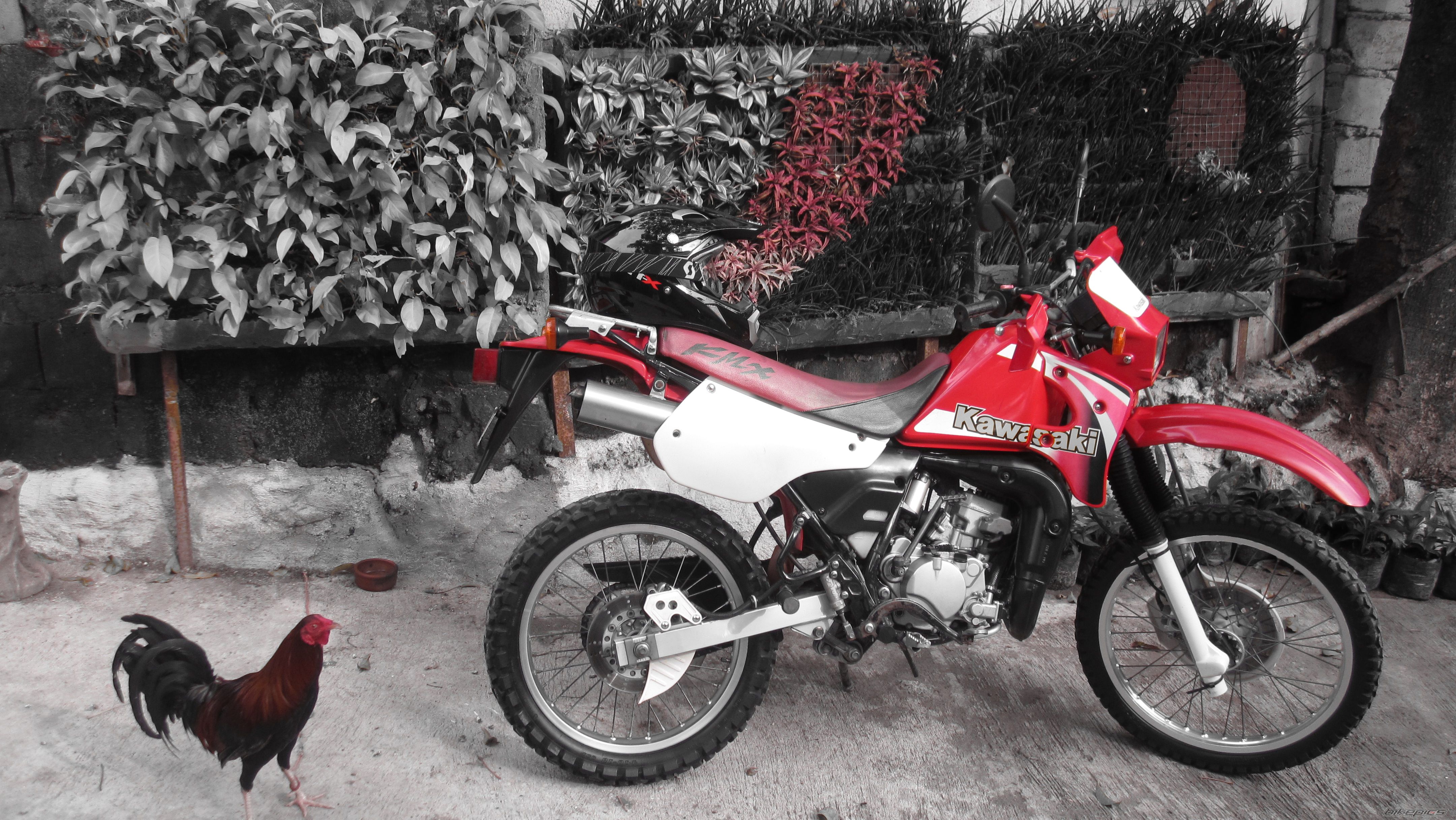 Photo 2582548