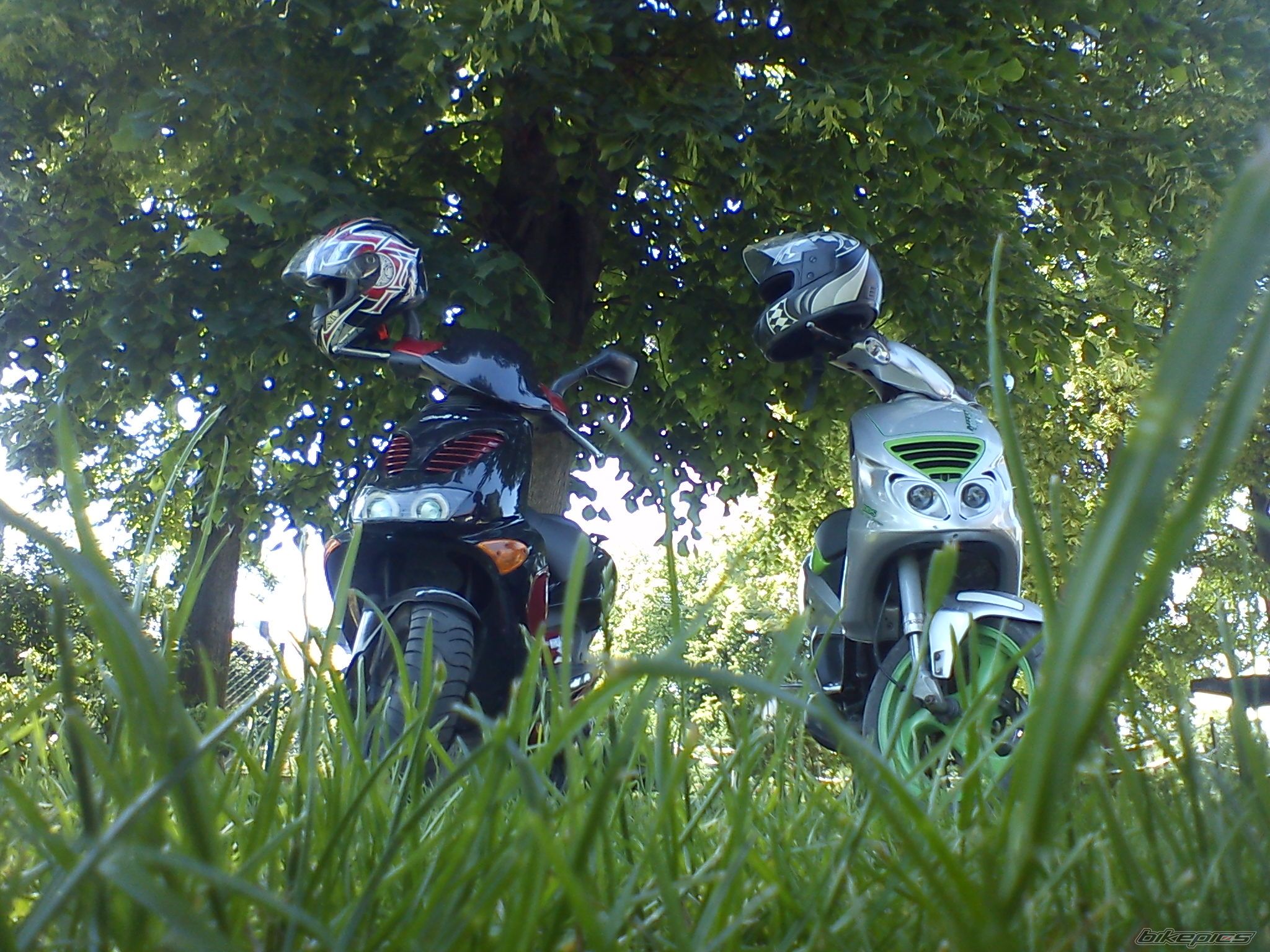 Photo 2582563