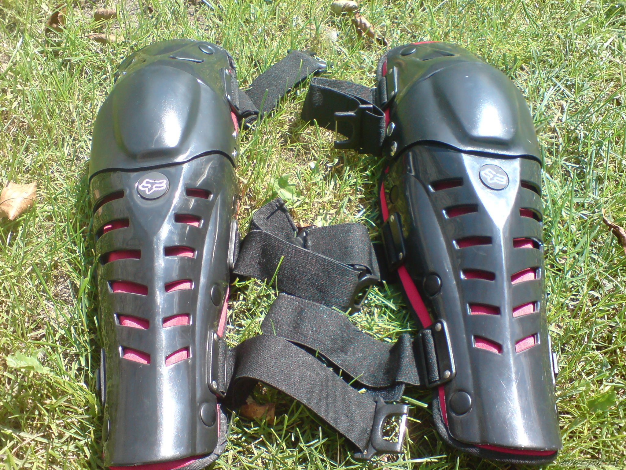 Photo 2582575