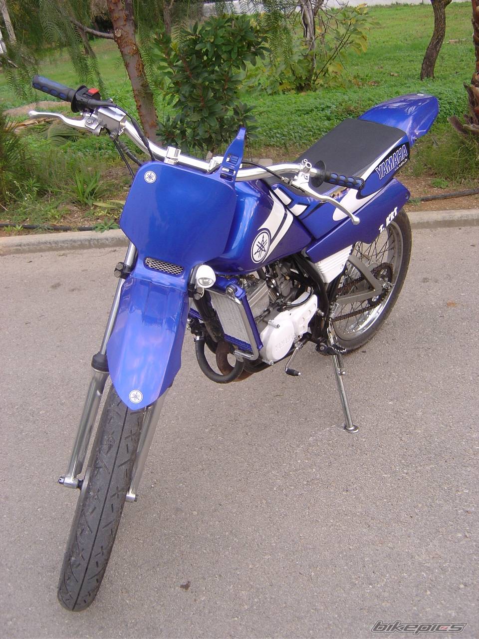 Photo 258259