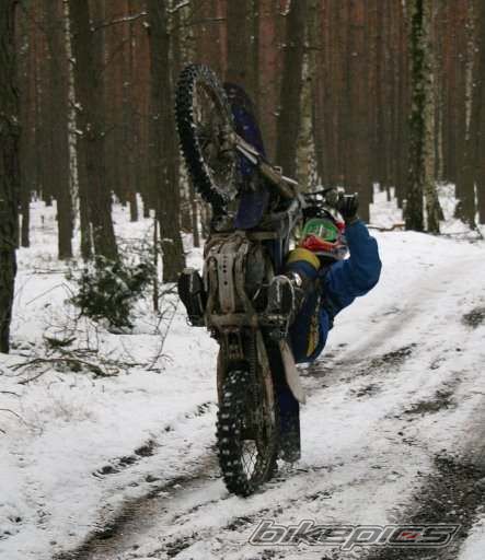 Photo 2582593