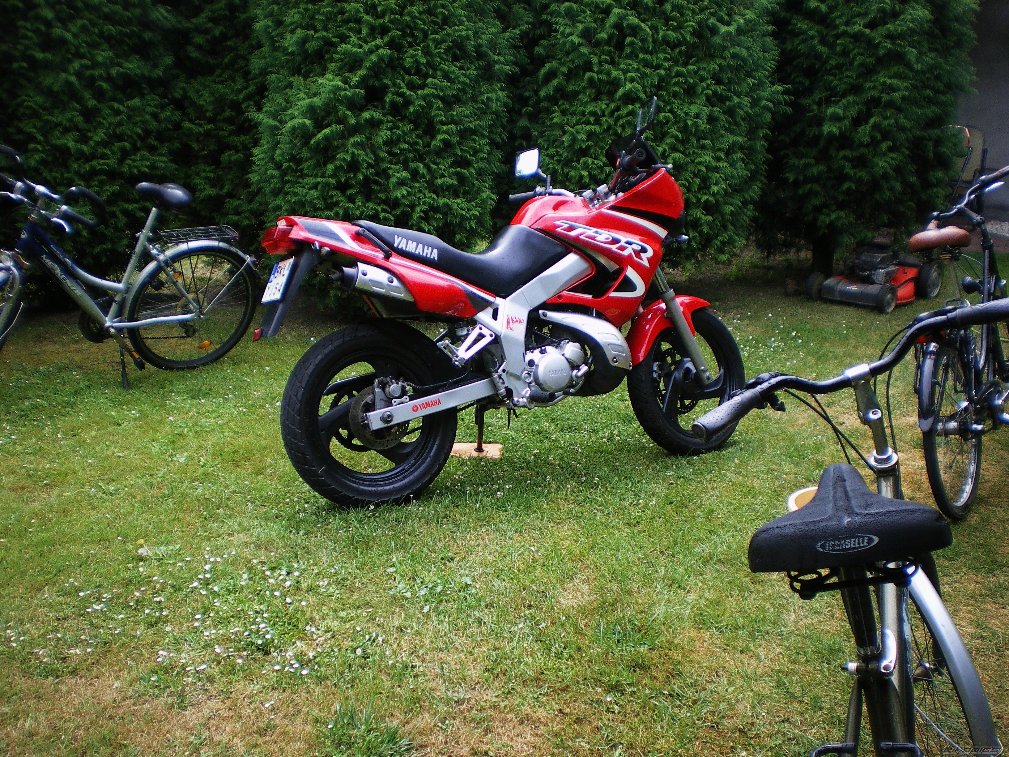 Photo 2582617