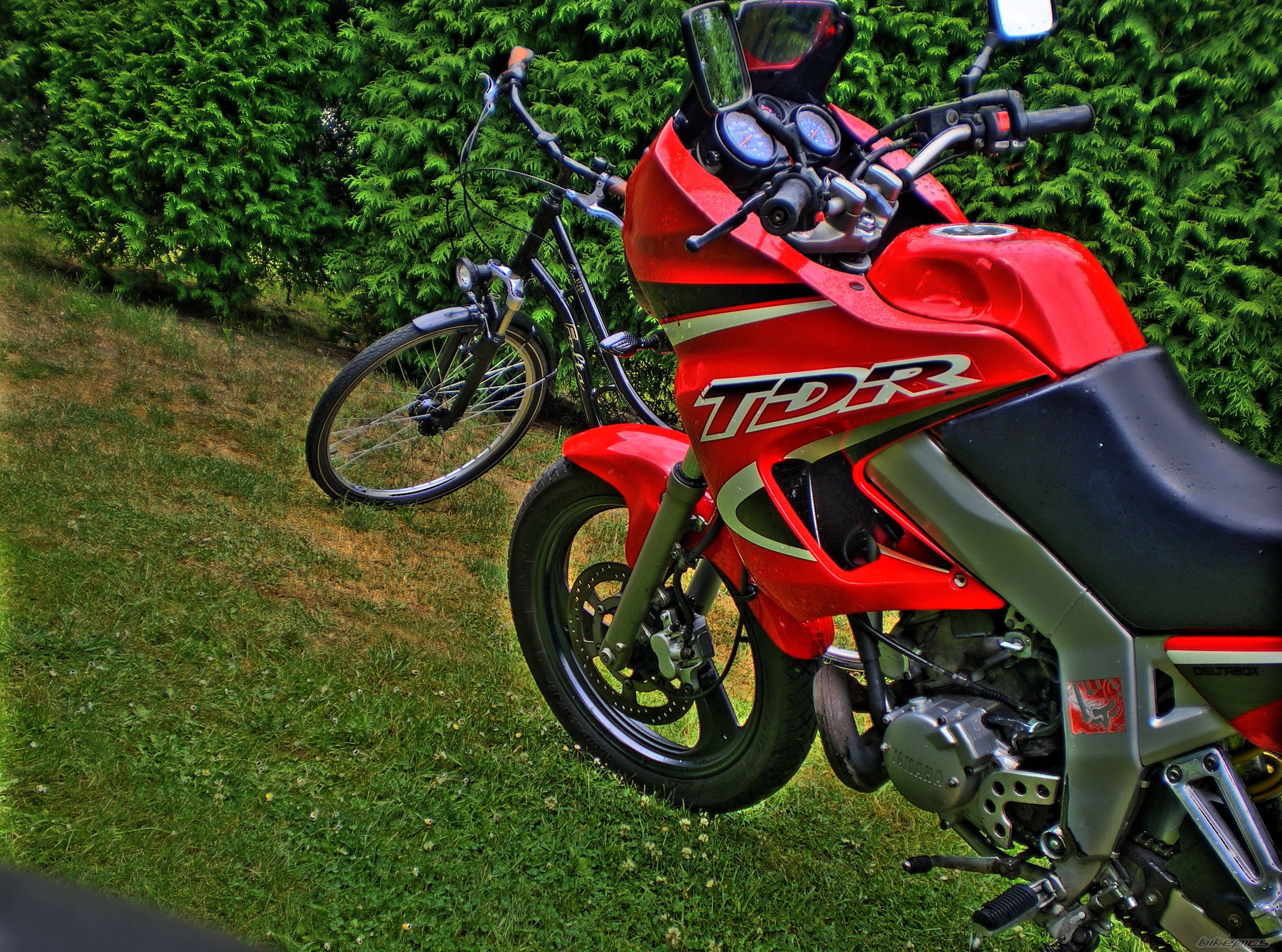 Photo 2582619