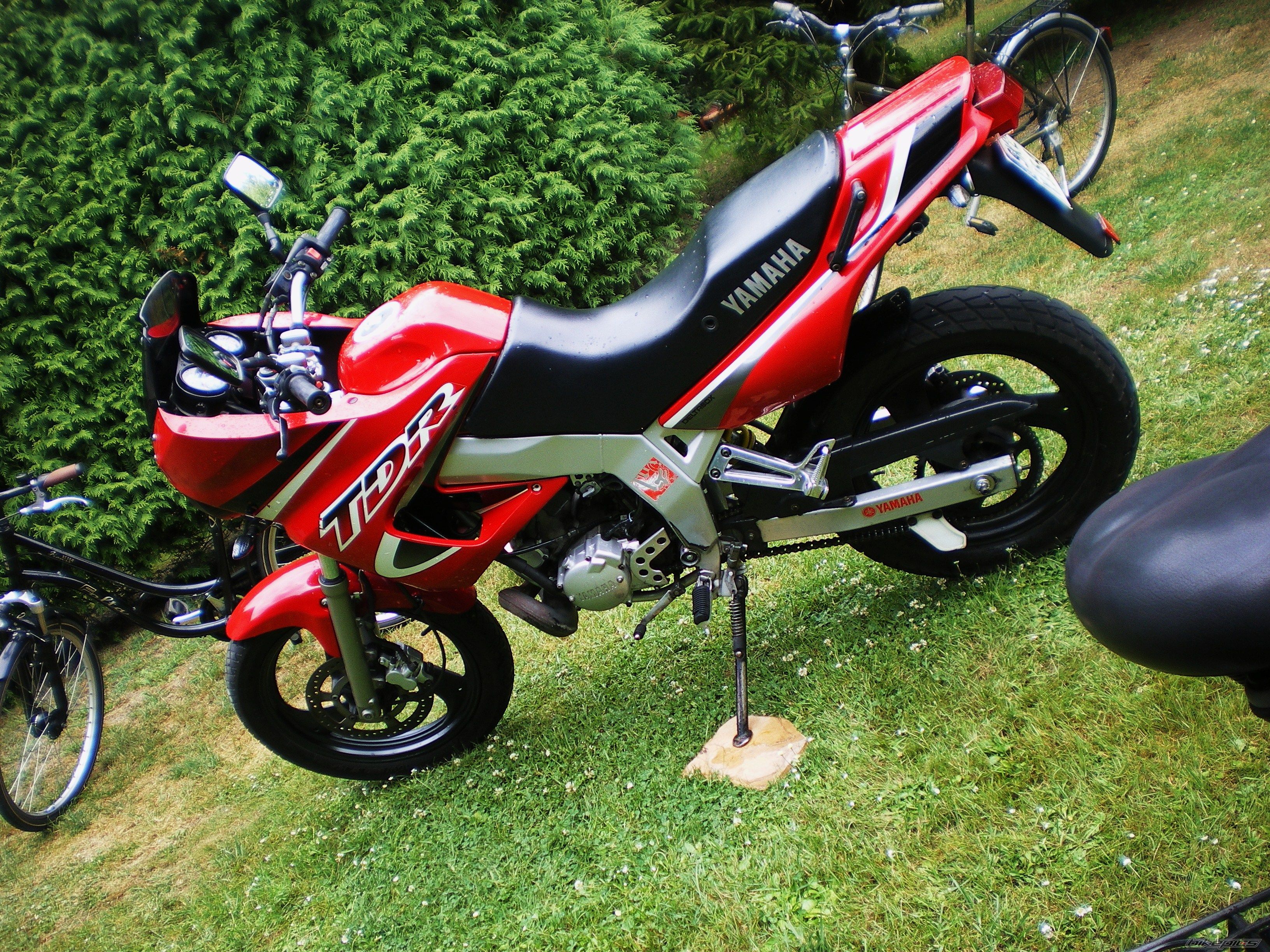Photo 2582620