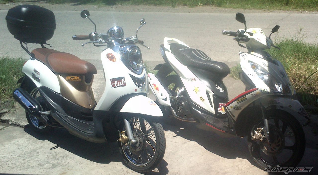 Photo 2582623