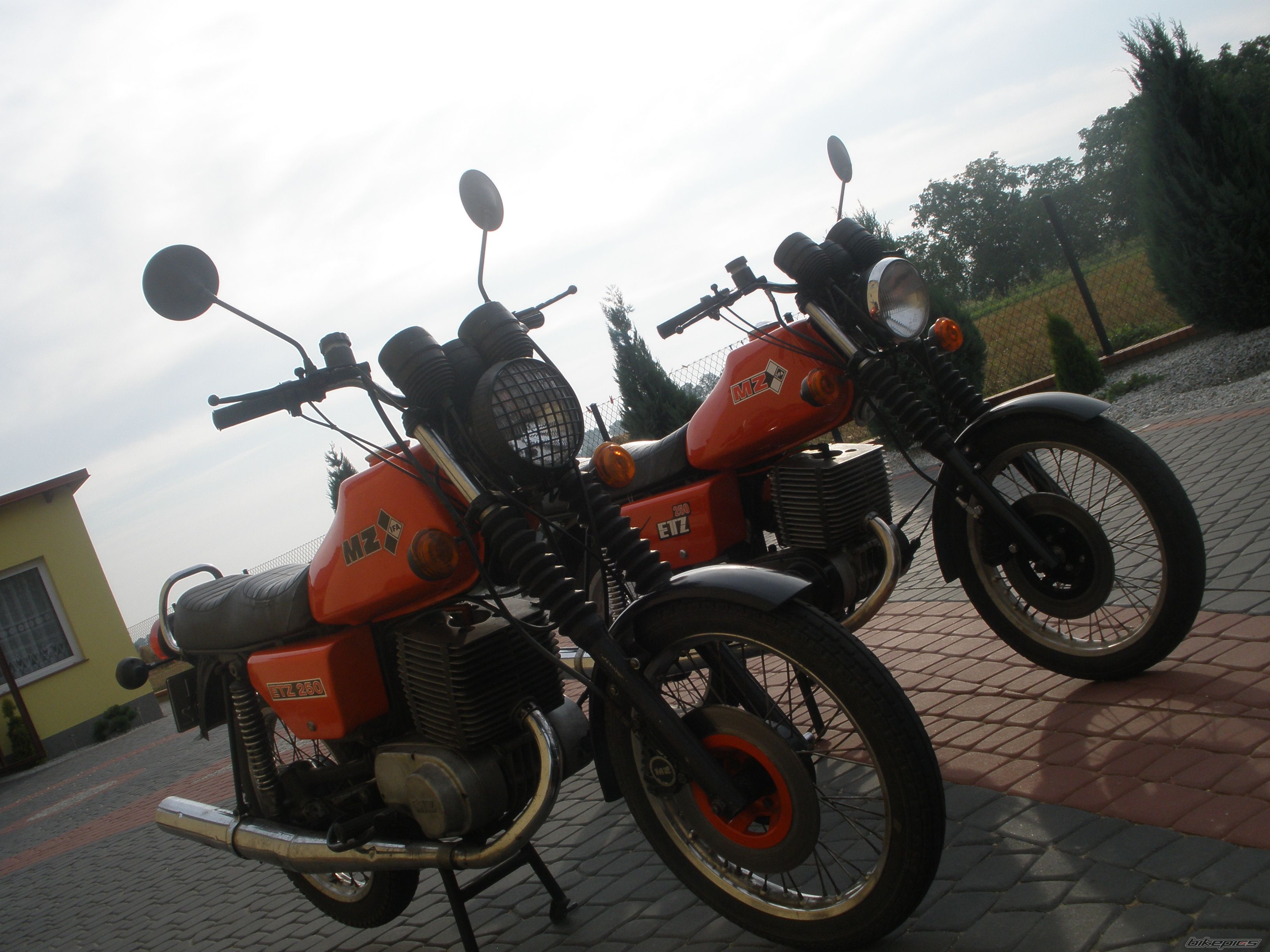 Photo 2582742