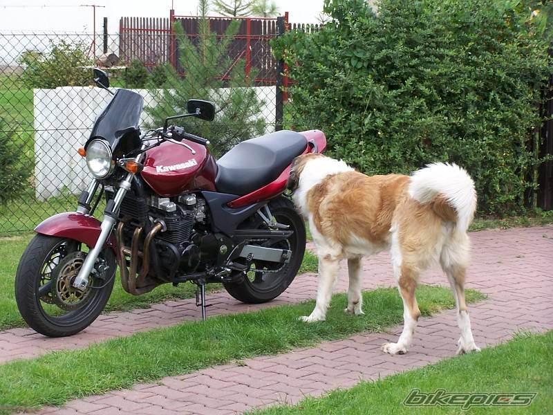 Bike Photo 258278