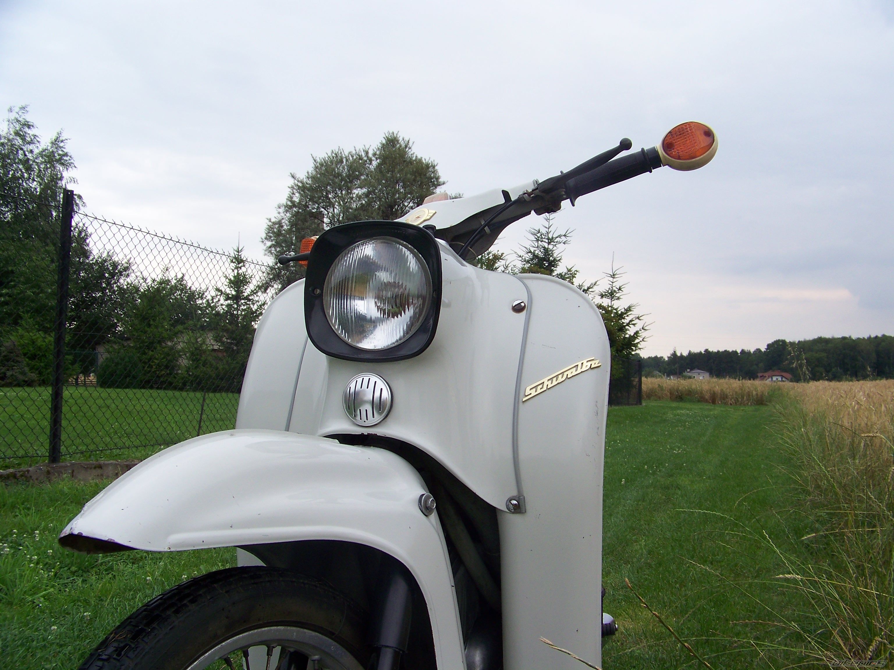 Photo 2582815