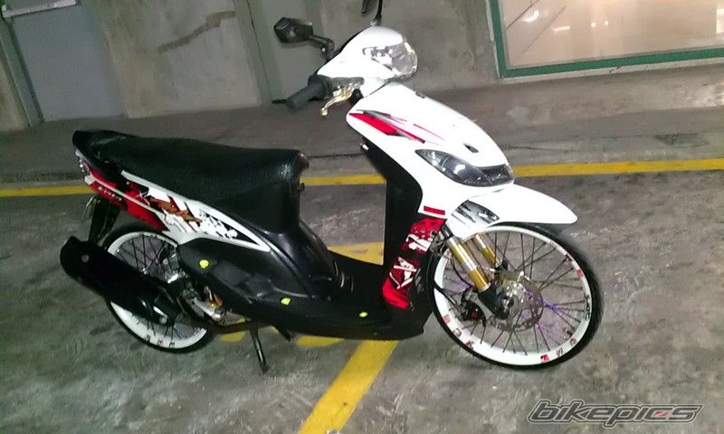 Photo 2582837