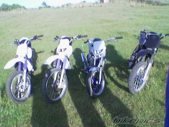 Photo 258286