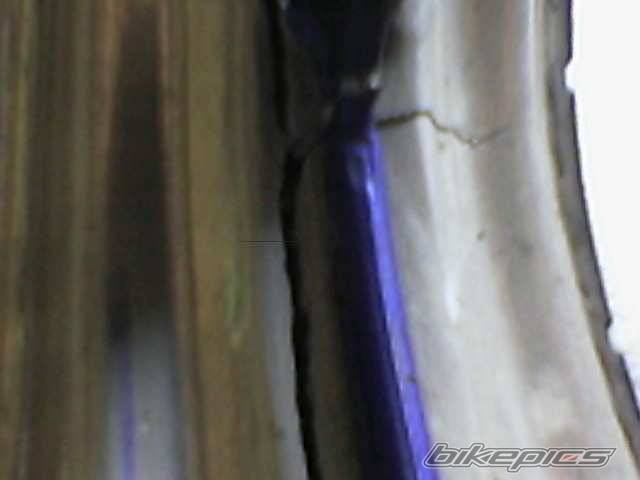 Photo 258290